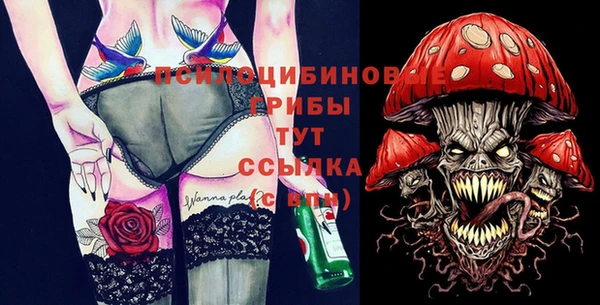 2c-b Тавда