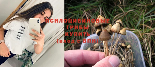 таблы Тайга
