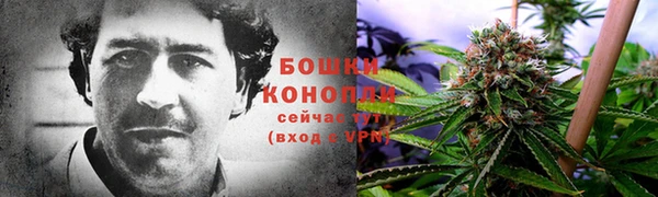 2c-b Тавда